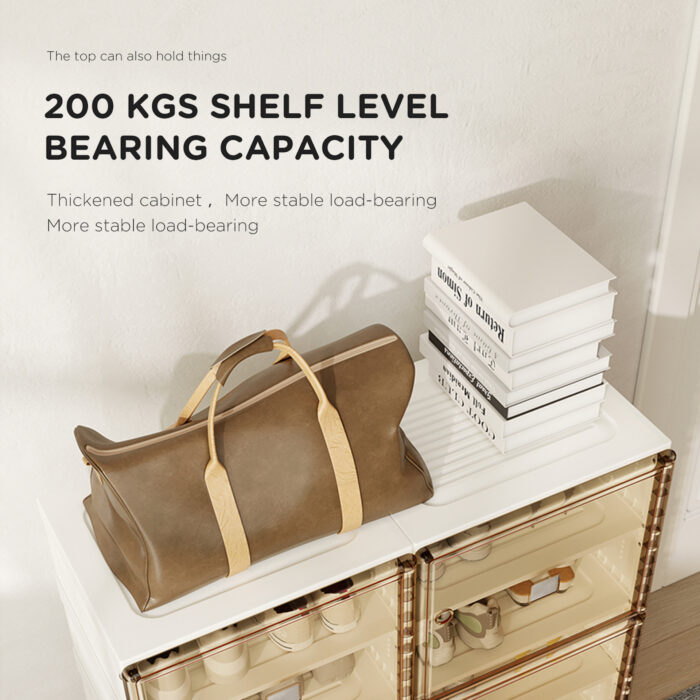 Daibasen Shoe Cabinet - Image 3